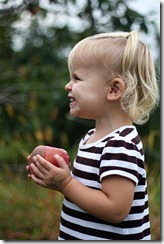 Apple picking, Sadie 8