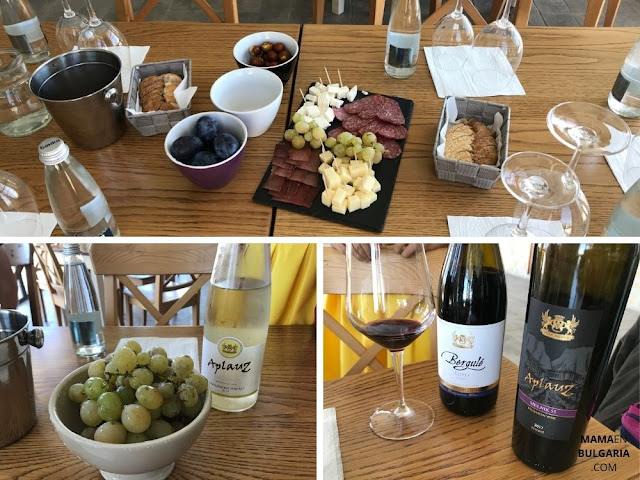 degustación vino Villa Melnik