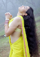 Suhani, hot, navel, photos, in, saree