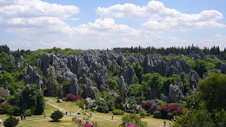 imagen bosque de piedra habitada