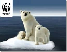 360 Invest Group adopt a Polar Bear