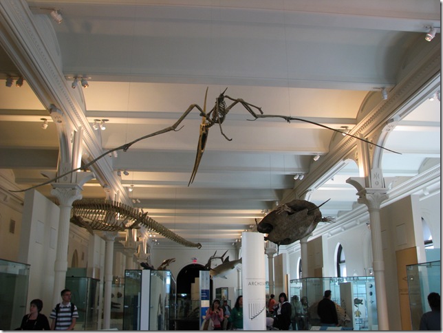 2008.05_nova_iorque_021_museu_historia_natural