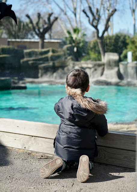 BARCELONA ZOO