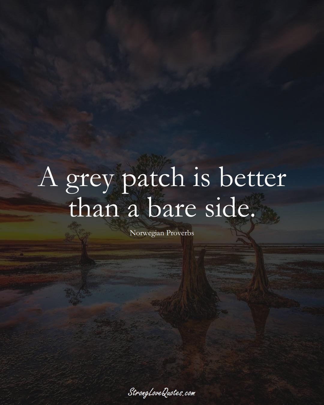 A grey patch is better than a bare side. (Norwegian Sayings);  #EuropeanSayings