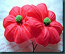 buddy poppy 0510 (7)