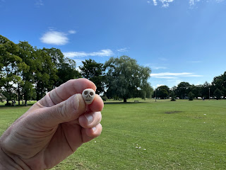 A photo of a small ceramic skull (Skulferatu 107) being held up with the park of Leith Links in the background.  Photograph by Kevin Nosferatu for the Skulferatu Project.