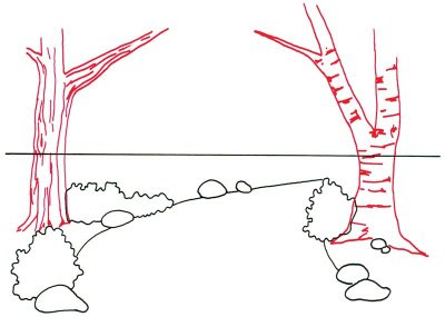 How to Draw a Rural Lane in 5 Steps