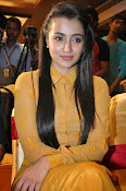 Trisha photos at Cheekati Rajyam event-thumbnail-13