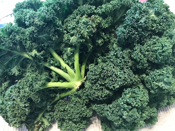 Freshly cut spring kale