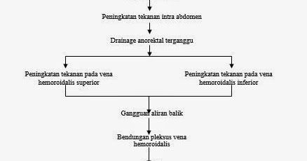 Cegah Konstipasi Pada Kehamilan 