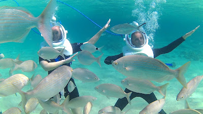 sea trek dance with fish