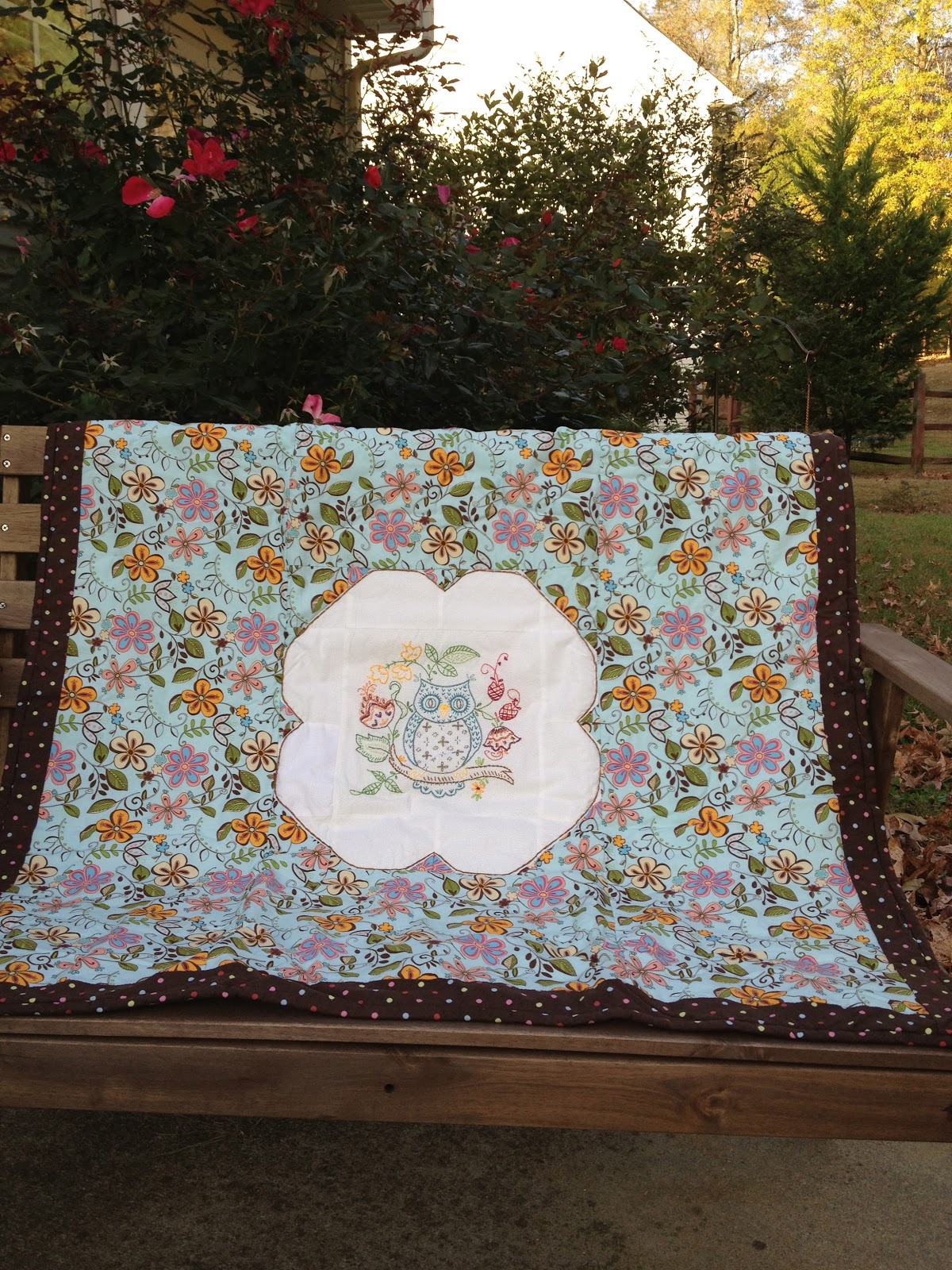 Download Cherry Pie Skies: Embroidered Owl Baby Quilt