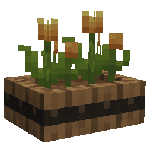 orange_tulip_0_wall