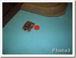 friday night 072