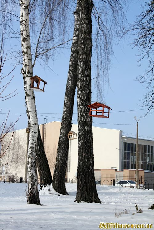 "Життя штука не проста. Тут кругом ловушки. Одні люблять пташечок, інші лиш - кормушки..."