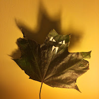 bat leaf