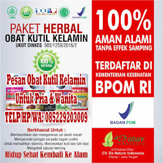 Obat Kutil Kelamin