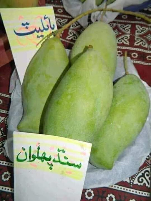 How many types of mangoes in Pakistan