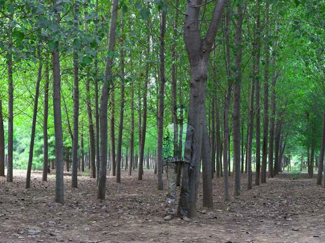 Liu Bolin The Invisible Man | Amazing Camouflage Art