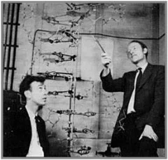 WATSON AND crick