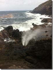 IMG_2562