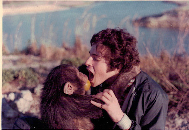 Lions and Tigers and Hamsters: An Interview with Dr. Mark Goldstein. Photo shows Dr. Mark with a chimp