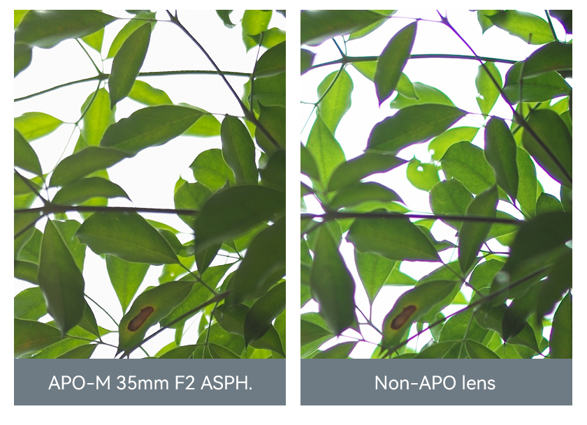 Сравнение обычной и апохроматической оптики на примере объектива TTartisan 35mm f/2 APO Asph