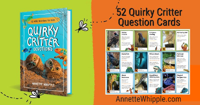 Quirky Critter Question Cards Printable