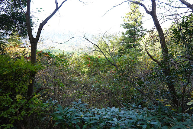 鳥取県西伯郡南部町下中谷 林道上中谷線からの眺望