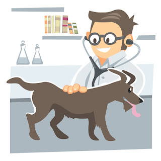 Does Pet Insurance Cover Neutering and Vaccinations?