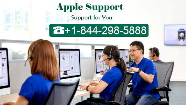 apple support