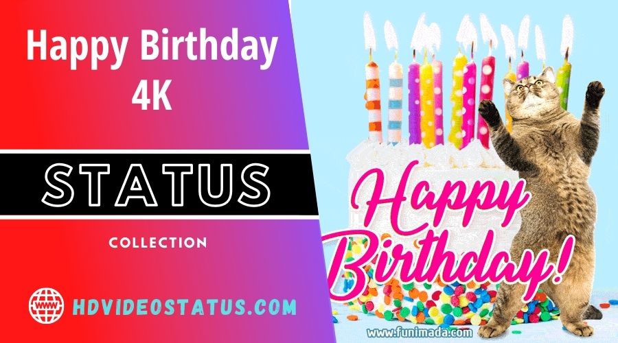 Happy Birthday Status Video Download - hdvideostatus.com