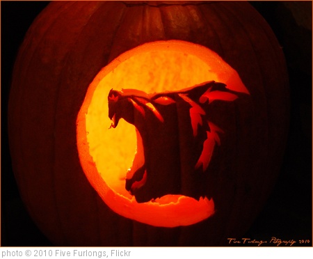 'Werewolf' photo (c) 2010, Five Furlongs - license: http://creativecommons.org/licenses/by-nd/2.0/