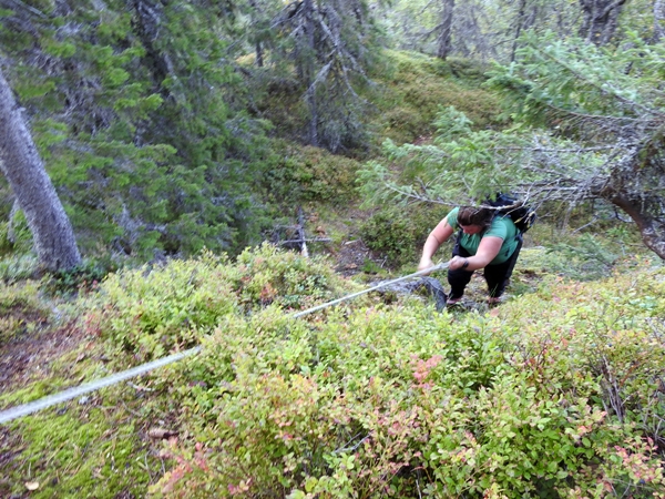 Fjøsvikfjellet somdalskollen kongsgardskollen varden fjellsetera