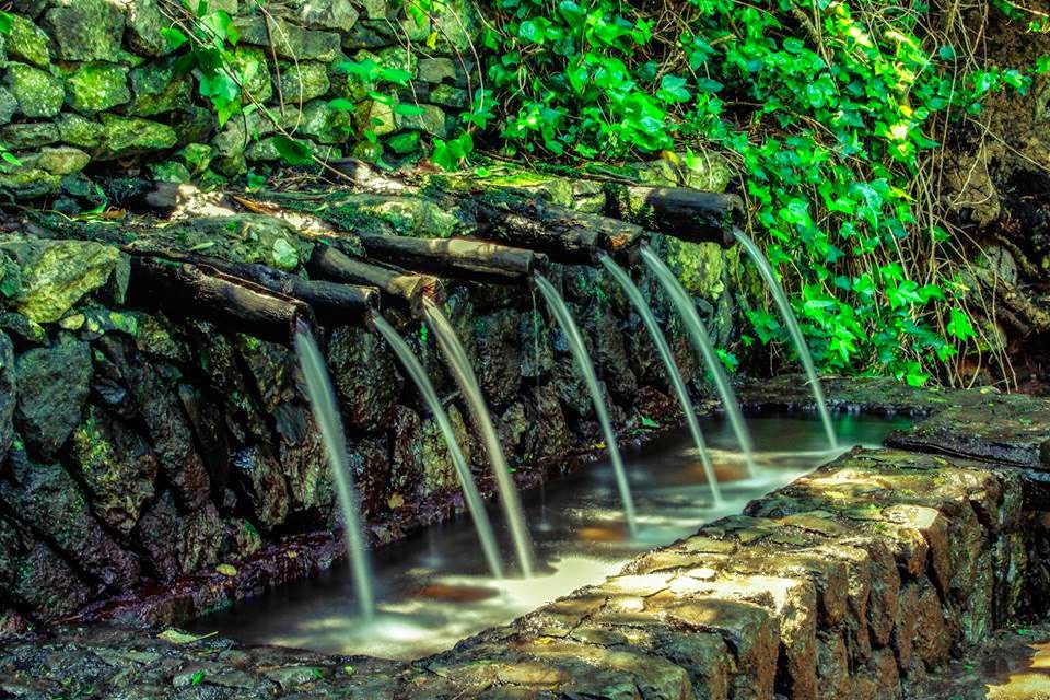 Los chorros de Epina - La Gomera