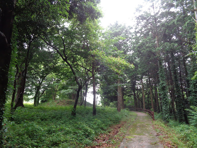 弥生の森　遊歩道