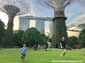 Gardens by the Bay Supertree Grove