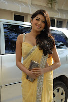Beautiful, actress, Pranitha, Latest, Stills, in, saree, 
