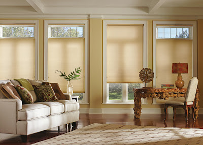 Window Treatments - Hunter Douglas Duette Architella shades