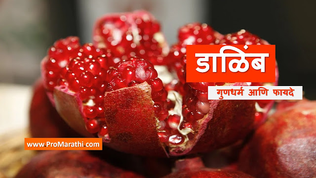 Pomegranate in Marathi