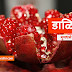 Pomegranate in Marathi | डाळिंब : या अँटिऑक्सिडंटचे गुणधर्म आणि फायदे