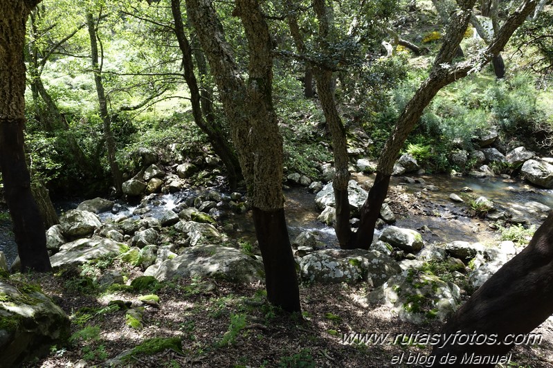 El Bujeo - Pista de la Algamasilla - Puerto de la Higuera - Río Guadalmesí