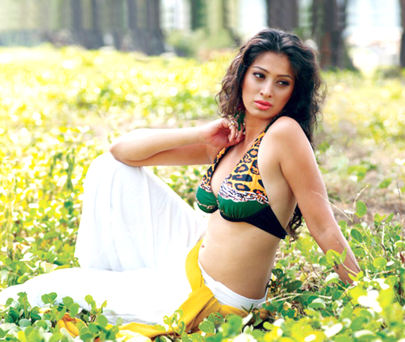 Actress Hot Photoshoot for CCL Calender  hot images