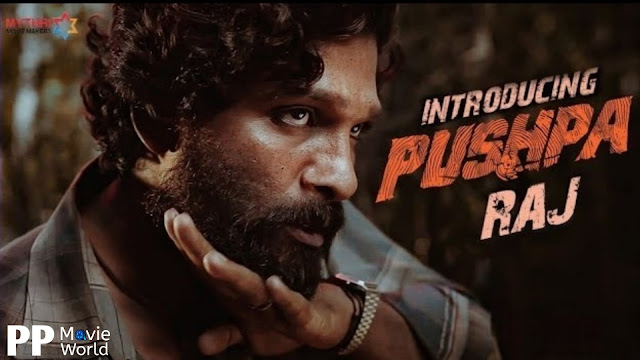 Pushparaj Intro Teaser Revealed