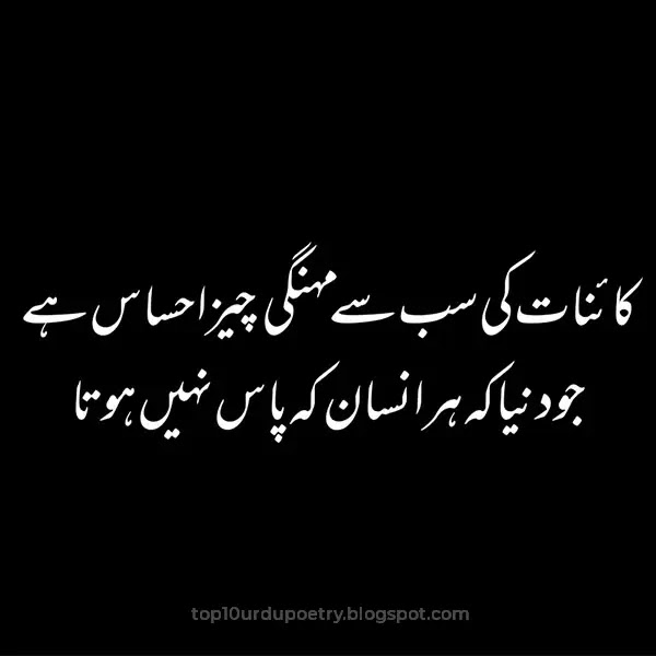 Sayings In Urdu Download Quote Pictures