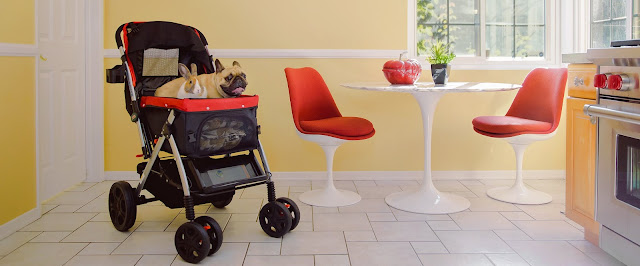 https://petroverusa.com/collections/pamper-your-pet-with-the-luxury-3-in-1-multi-function-pet-stroller/products/pet-rover-prime-luxury-3-in-1-stroller-for-small-medium-dogs-cats-and-pets-black