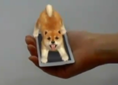 Nintendos   Cats - AR Game