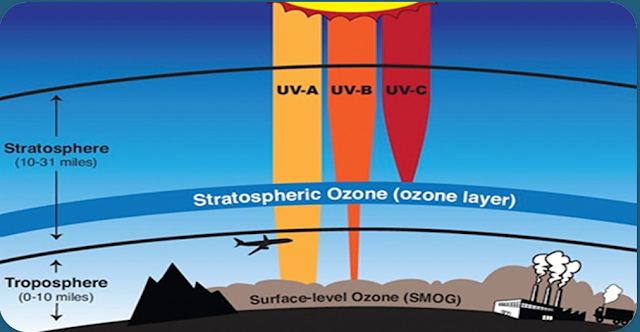 _____ layer is like an invisible shield that protects earth from solar radiation.