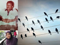 Kisah Benar: Seumur Hidup Berbuat Baik pada Haiwan, Ketika Dia Mati, Ratusan Burung Iringi Pengebumiannya !!