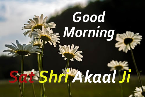 Good Morning,Sat Shri Akal Ji , Ram Ram Ji , Happy Sunday